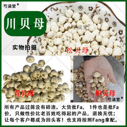 川贝母川贝粉四川松潘松贝 四川青川青贝 四川甘孜康定炉贝中药材