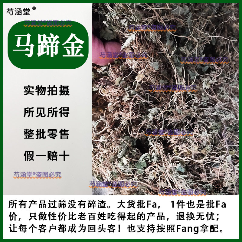 马蹄金正品马蹄金荷包草黄胆草小金钱草螺丕草小马蹄草500g包邮