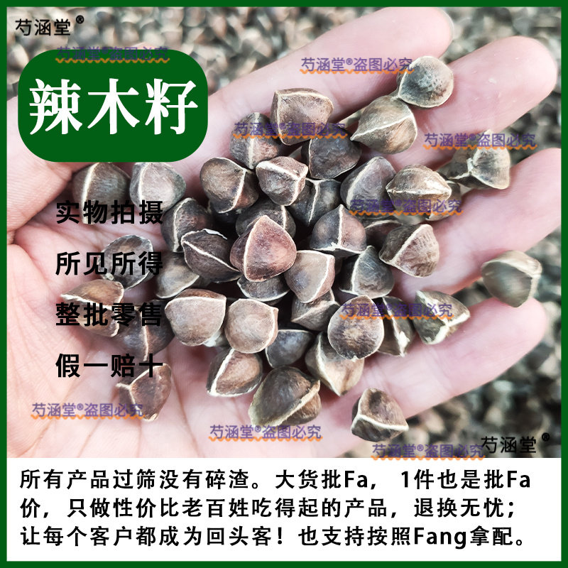 中药材特级进口辣木籽 印度非洲野生辣木子 正品新货药用500克