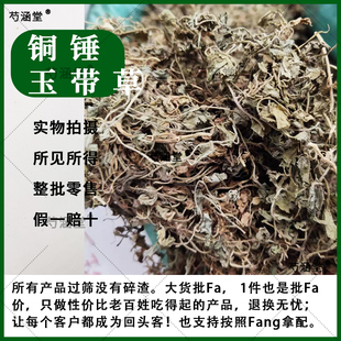 铜锤玉带草中药材  地钮子 地茄子 玉带草 干货新货无硫500g