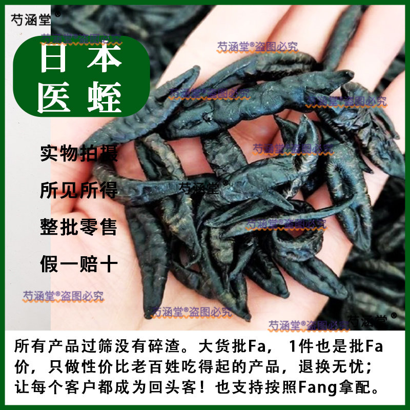 中医馆专供野生蚂蟥 日本医蛭干体 无添加含量十足吸血水蛭蚂蟥