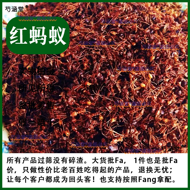 红蚂蚁干 中药材 长白山 野生红蚂蚁100克包邮养生泡酒另有黑蚂蚁