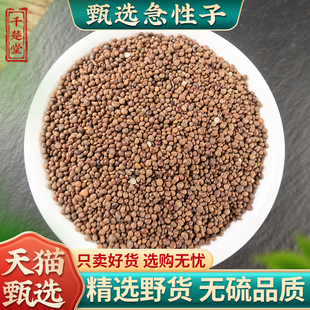 急性子中药材500克 凤仙花子 指甲花籽 正品新货精选 急性籽药材