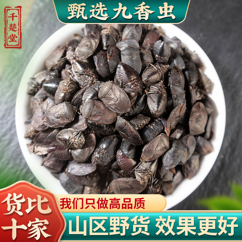 九香虫中药材 野生九香虫 500g克包邮正品打屁虫屁巴虫臭壳子虫