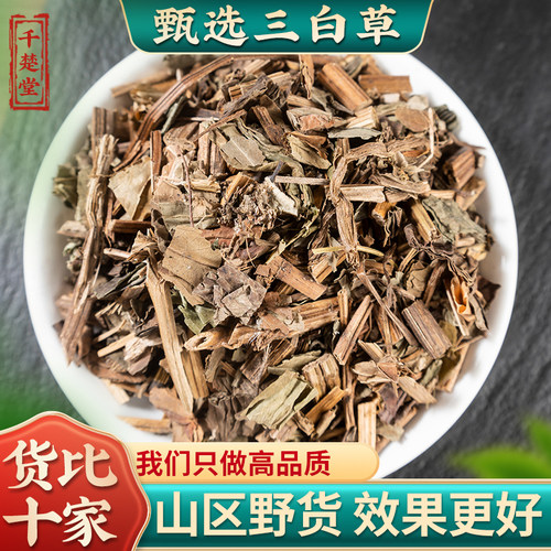 三白草中药材500克正品三白草全草中草药塘边藕百节藕白花三白草