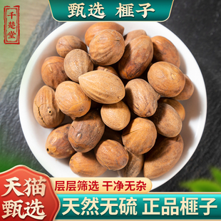 榧子中药材500克生香榧子玉山果赤果玉榧香榧药用正品新货