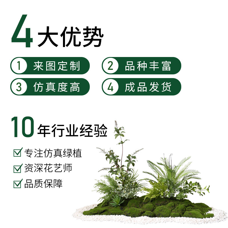 仿真蕨类植物微景观布置室内玄关假苔藓落地摆件橱窗绿植造景装饰