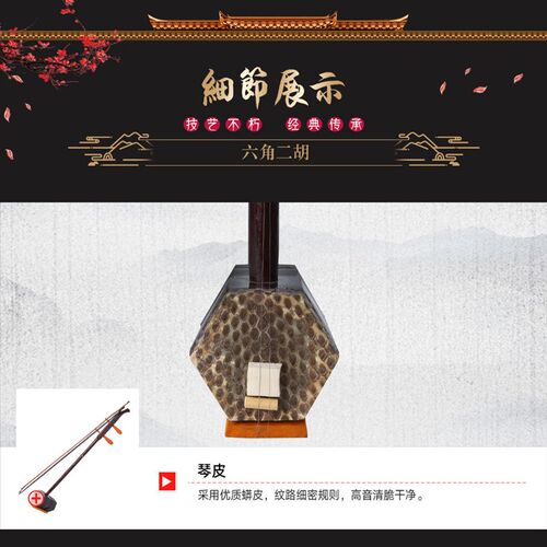 【六角二胡送松香+琴弦+琴码+教程】初学练习二胡民族乐器二胡袋