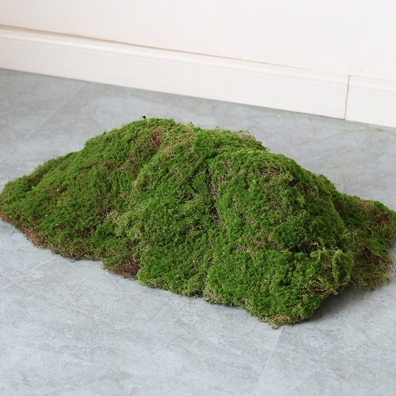 仿真青苔室内软装绿植造景橱窗花园假苔藓微景观永生植物布景摆件