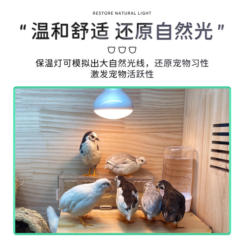 芦丁鸡保温灯取暖加热宠物养殖专用太阳灯小鸡加热自动恒温照明灯