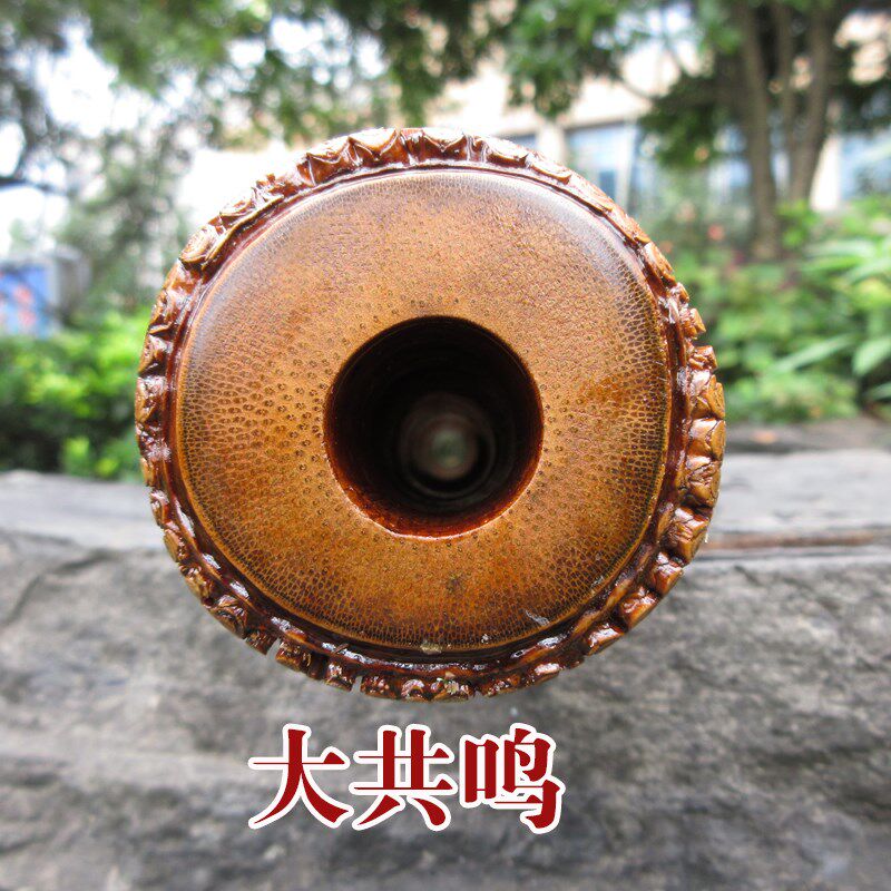 竹箫乐器初学者短箫琴箫桂竹南萧八孔洞箫专业演奏洞箫八孔南萧箫