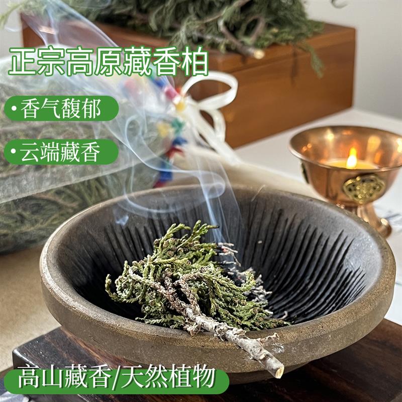 西藏野生藏香柏新鲜柏叶天然植物熏香净化空间长于雪山海拔4000米图片