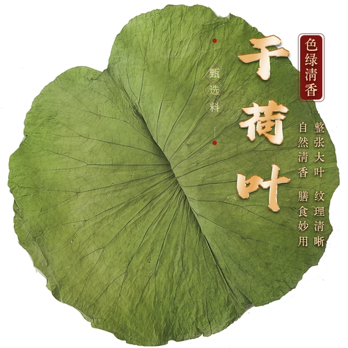 新鲜干荷叶整张荷叶方片圆片切片