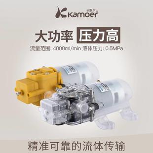 家用增压泵12v高压喷雾小泵自吸泵 微型水泵电动隔膜泵小型抽水泵