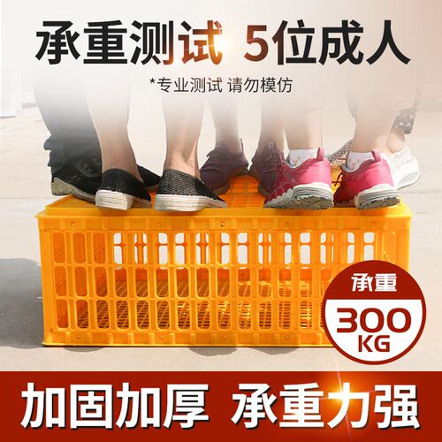 家用大号兔笼养殖笼鸡笼运输笼塑料家禽周转箱筐成鸡鸭鹅鸽子笼子