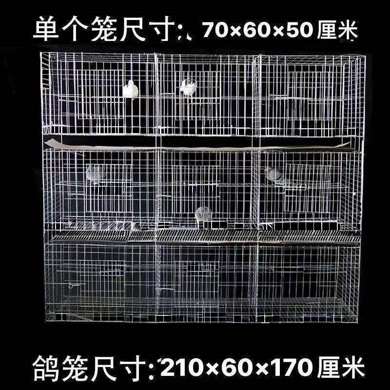 大尺寸元宝鸽笼配对加粗鸽子笼包邮大元宝圆环专用