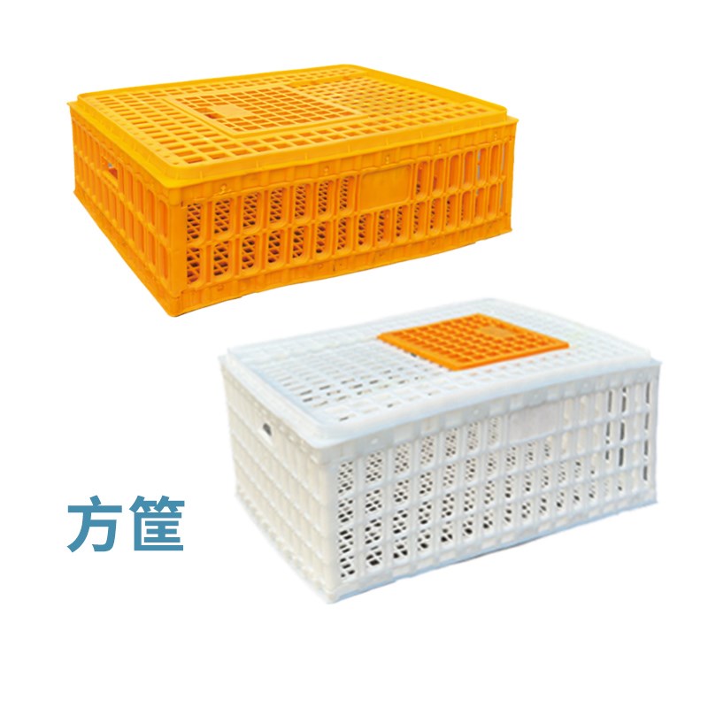 鸡笼周转箱 鸡笼子运输养殖塑料家用大号特大筐 成鸡鸭鹅鸽子兔笼