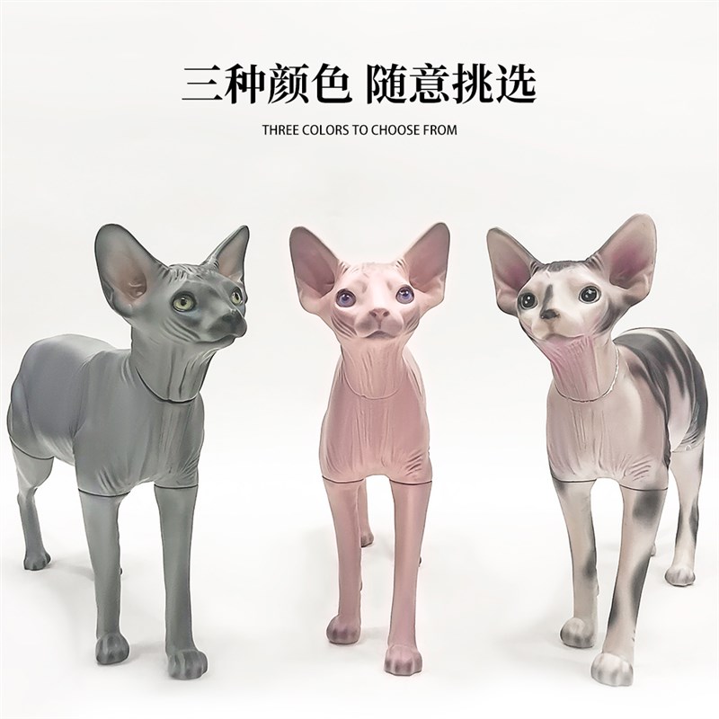 无毛猫模型可拆宠物道具猫狗衣服拍摄展示衣架模特斯芬克斯猫摆件