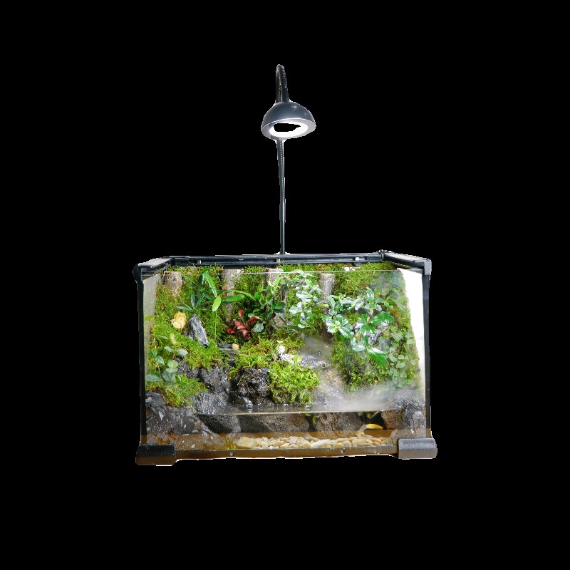 【丛林溪流】流水雨林缸桌面苔藓微景观水陆生态爬宠缸造景成品发