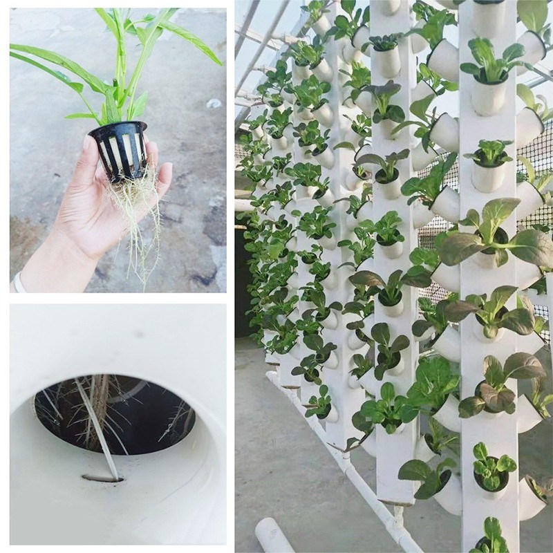家庭用自动水培设备 阳台立体种菜机无土栽培四柱式水耕种植组 蔬