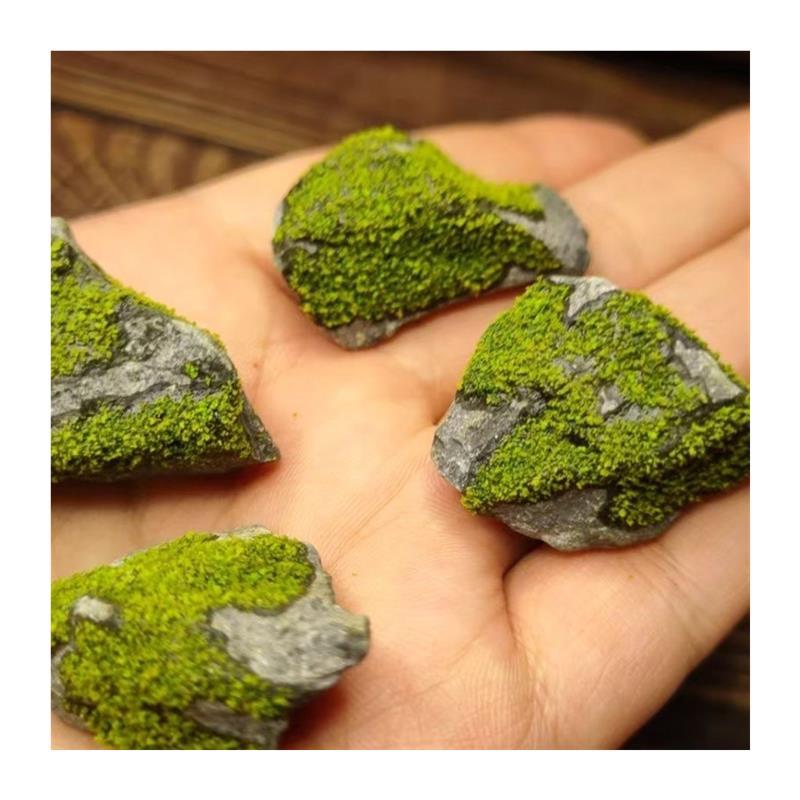 爬宠攀爬造景仿真苔藓石头原生绿藻石微景观假山盆景鱼缸装饰摆件