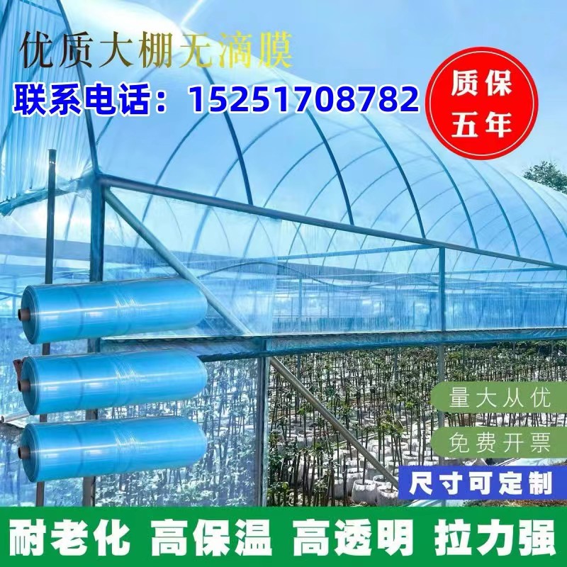 进口抗老化无滴膜整卷大棚塑料膜保温透光农用薄膜瓜果葡萄专用膜