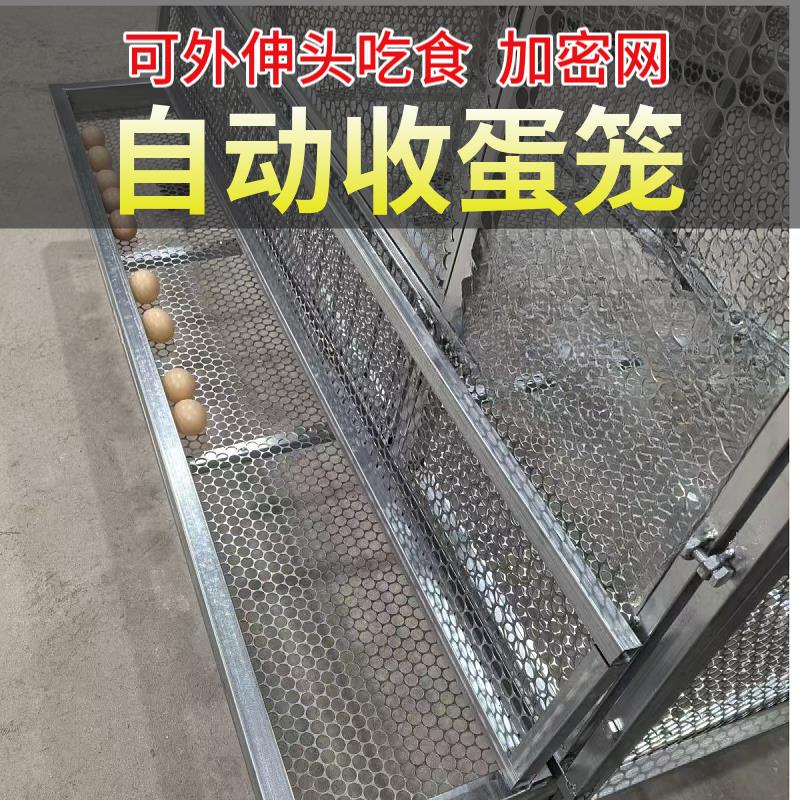 鸡笼子家用室内大号大鸡笼自动清粪防黄鼠狼室外蛋笼专用兔养殖笼