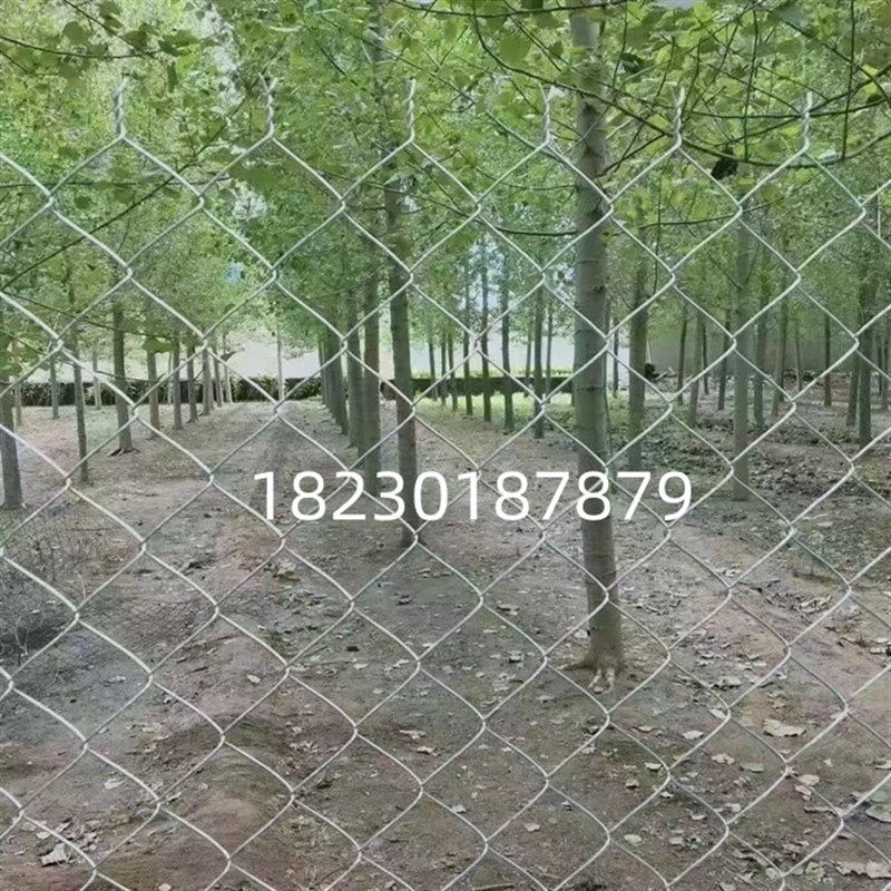 勾花网镀锌铁丝网钢丝网养殖专用牛羊圈地铁丝网围栏网果园防护网