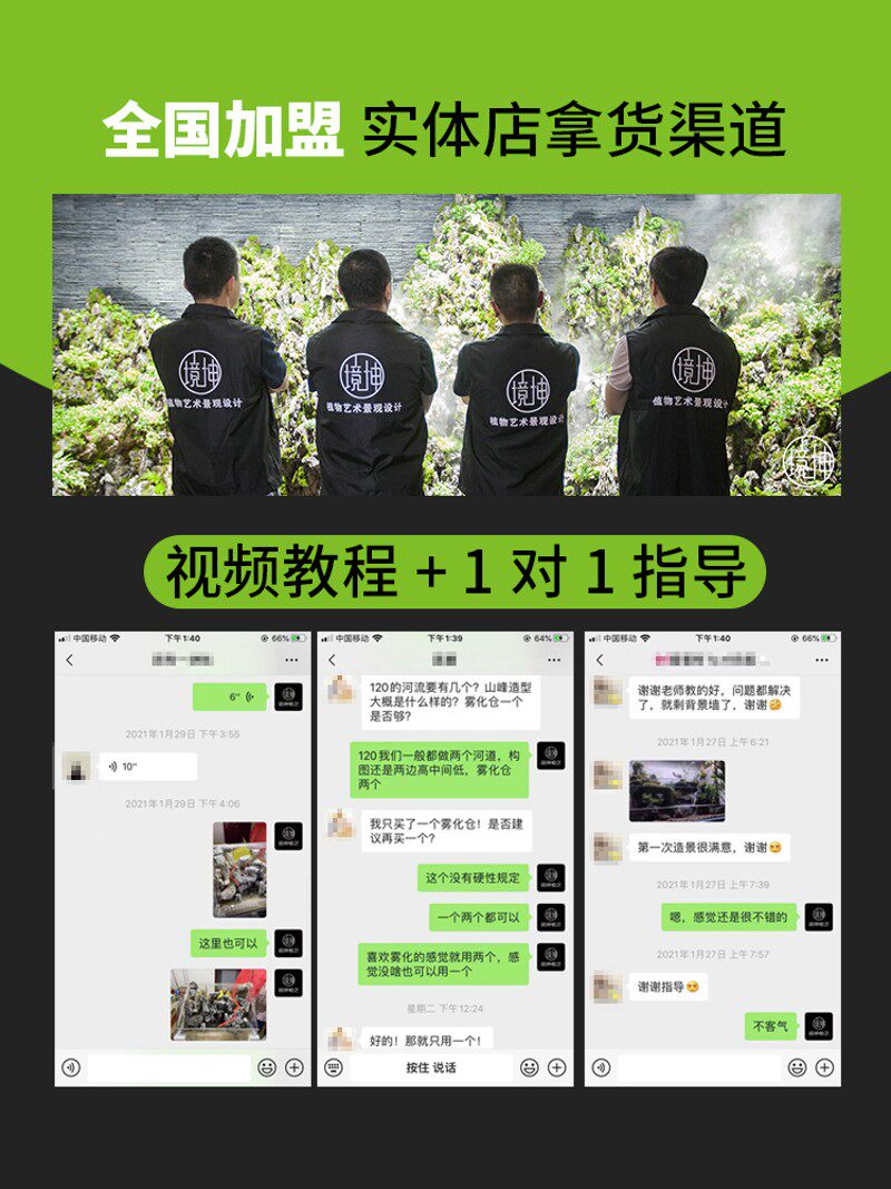 水陆缸植物草两栖超白造景乌龟材料雨林微景观生态鱼缸免换水套餐