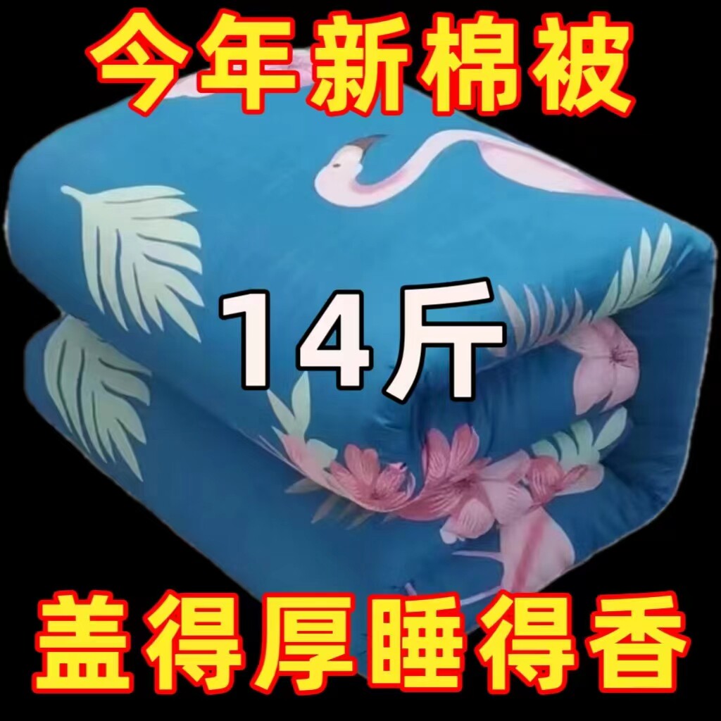 今年新棉被四季通用单双人加厚保暖宿舍被子可拆洗被套