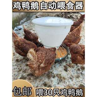 喂鸡食槽防撒鸡鸭鹅自动喂食器不锈钢喂鸡食槽自动喂养