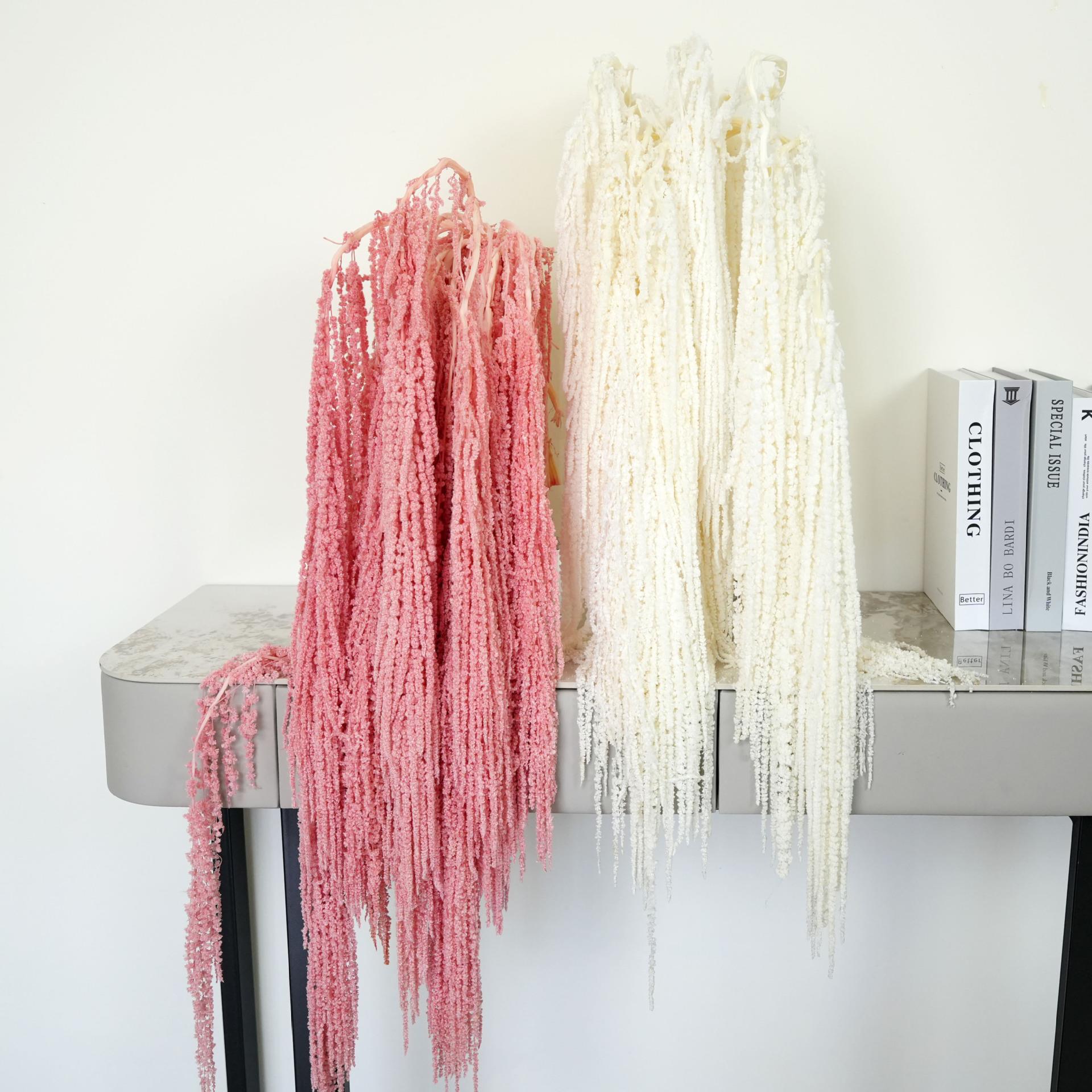 永生吊米柔丽丝保鲜花婚礼婚庆装饰长穗花品质白色红色绿色