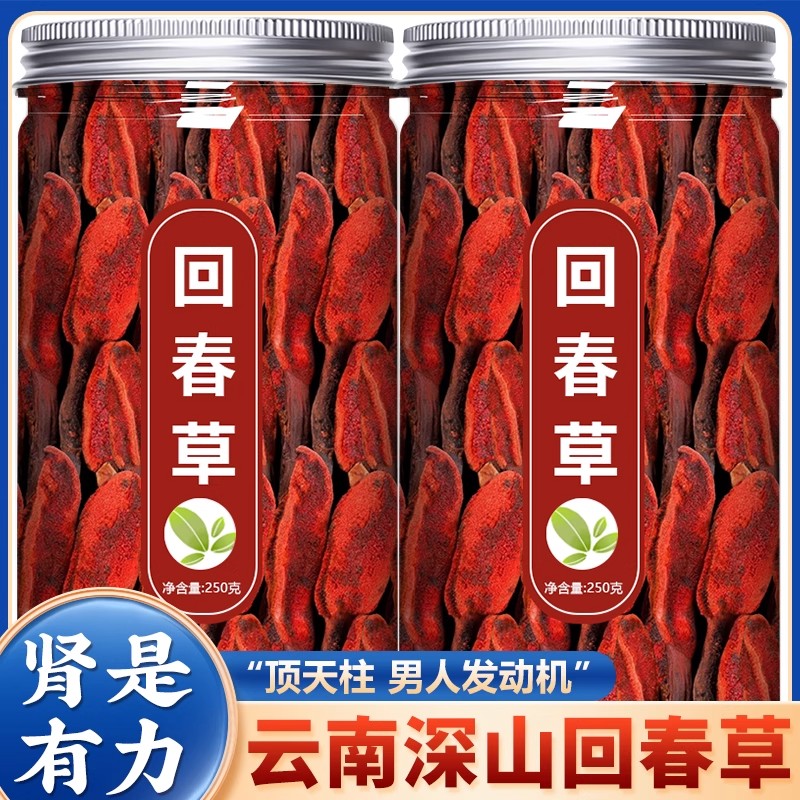 回春草野生500g旗舰店正品云南深山新鲜顶天柱不老草泡茶酒的功效