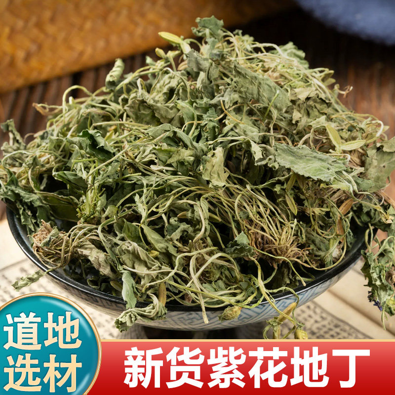 紫花地丁中药材500克新货新草紫花草犁头草地草地丁草紫丁草磨粉