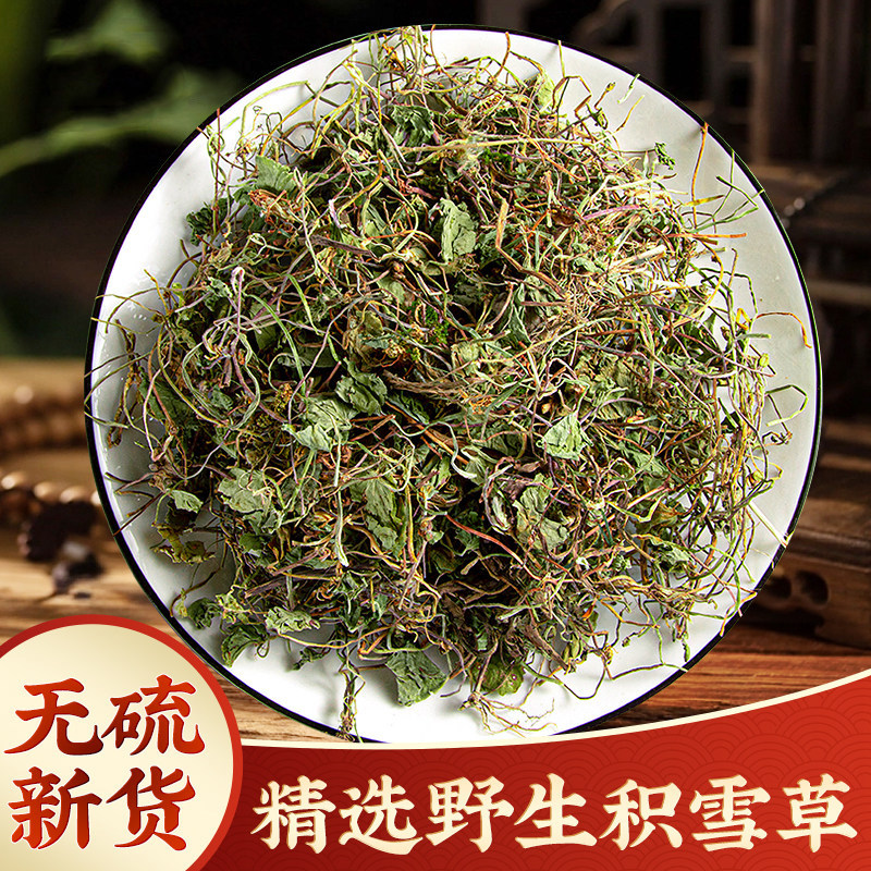 野生积雪草中药材正品500g积雪草新鲜马蹄草新货雷公根落跌打