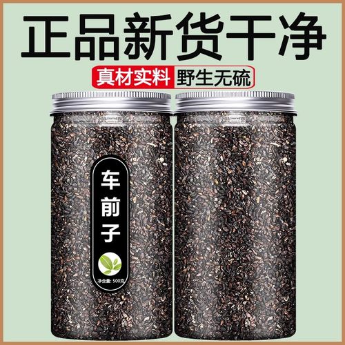 车前子籽中药材新鲜野生干货袋泡茶泽泻车前草猫爪草泡水喝500g