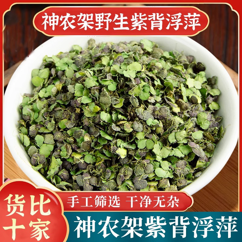 浮萍中药材正品官方旗舰店紫背浮萍野生浮萍草新鲜干货泡水干浮萍