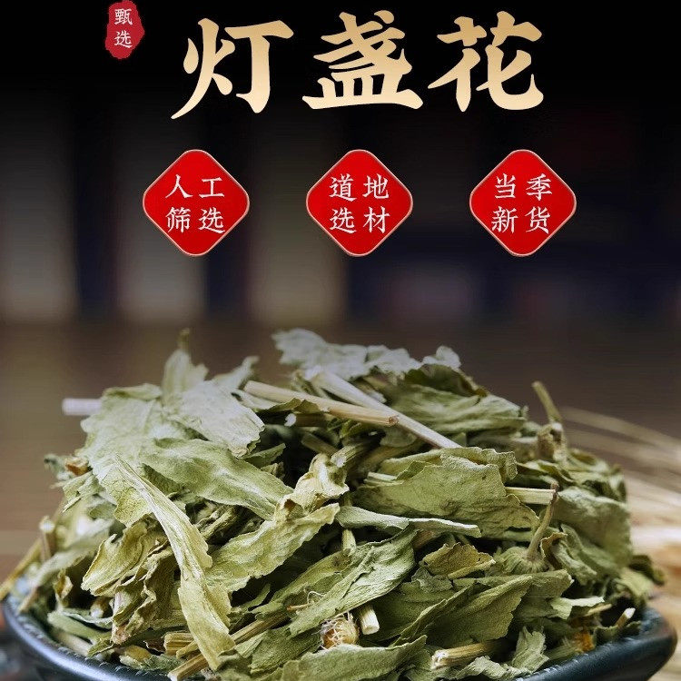 云南灯盏花中药材野生正品新货灯盏花灯盏细辛地顶草罐儿草泡水喝