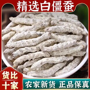 正宗白僵蚕新货中药材500g正品精选僵蚕白僵虫天虫姜蚕姜虫可磨粉