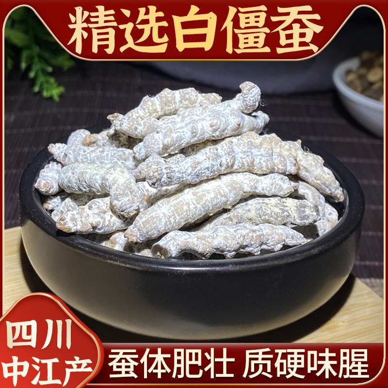 精选白僵蚕中药材100g四川中江正品生僵蚕天虫姜蚕僵虫白僵虫干粉