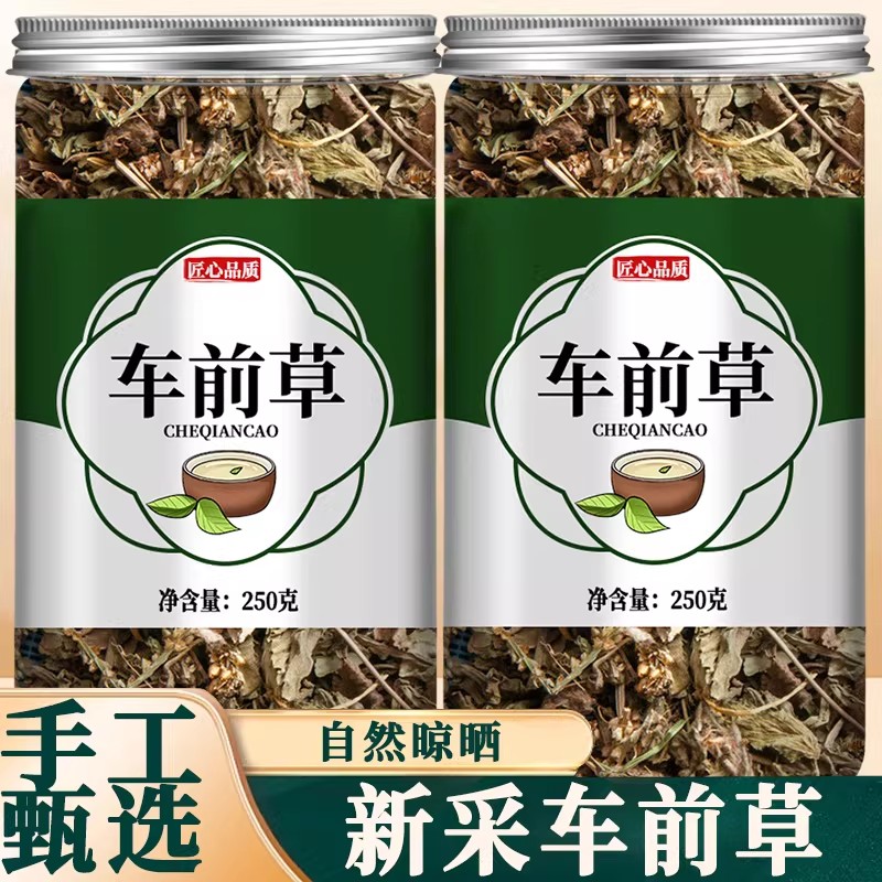 车前草野生干货官方旗舰店正品中药材车钱草和夏枯草茶泡水袋泡茶