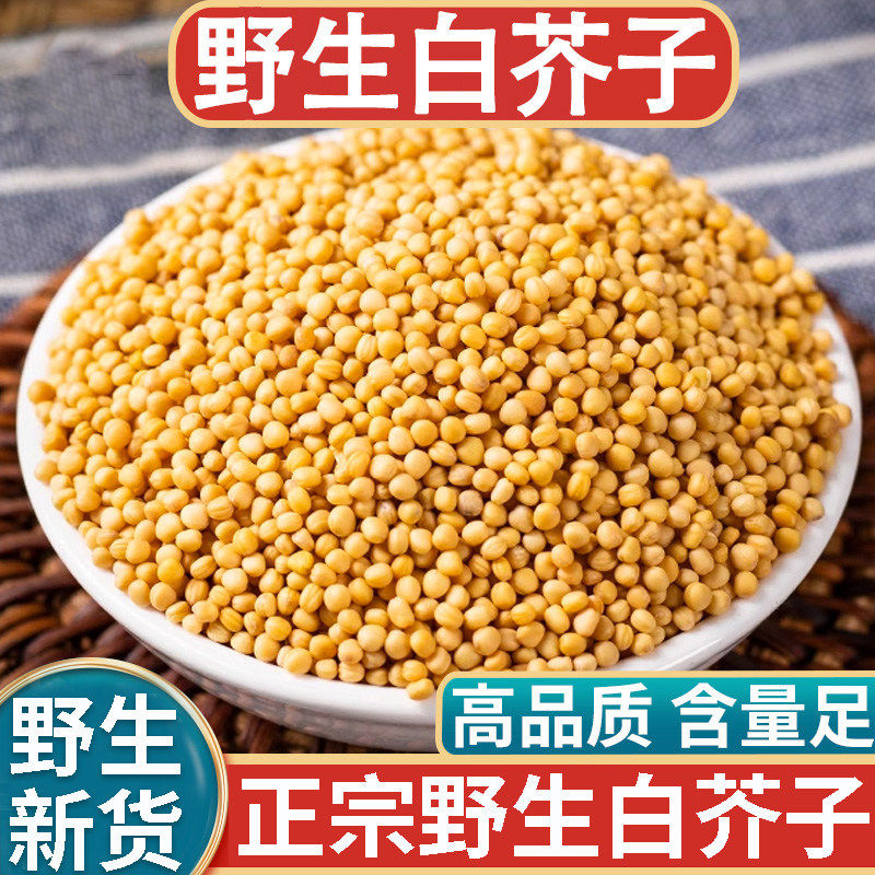 正品天然野生白芥子新货中药材500g正宗白介子辣菜子芥菜子泡茶水