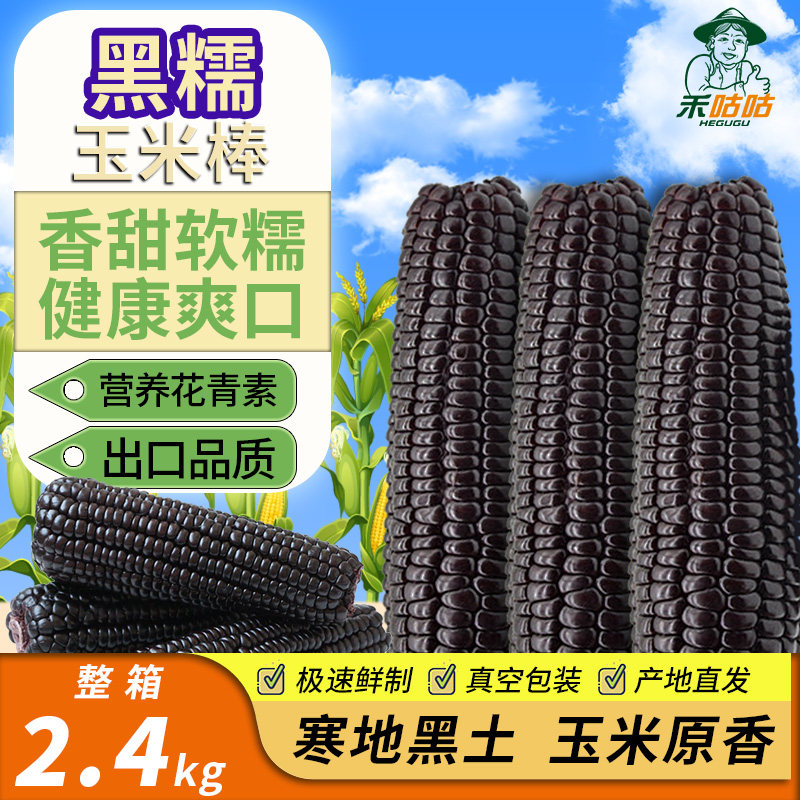 禾咕咕东北黑糯玉米营养真空整箱