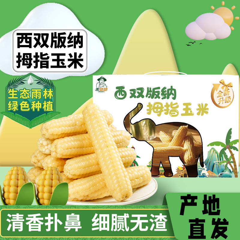 西双版纳白金小拇指健康礼盒现发