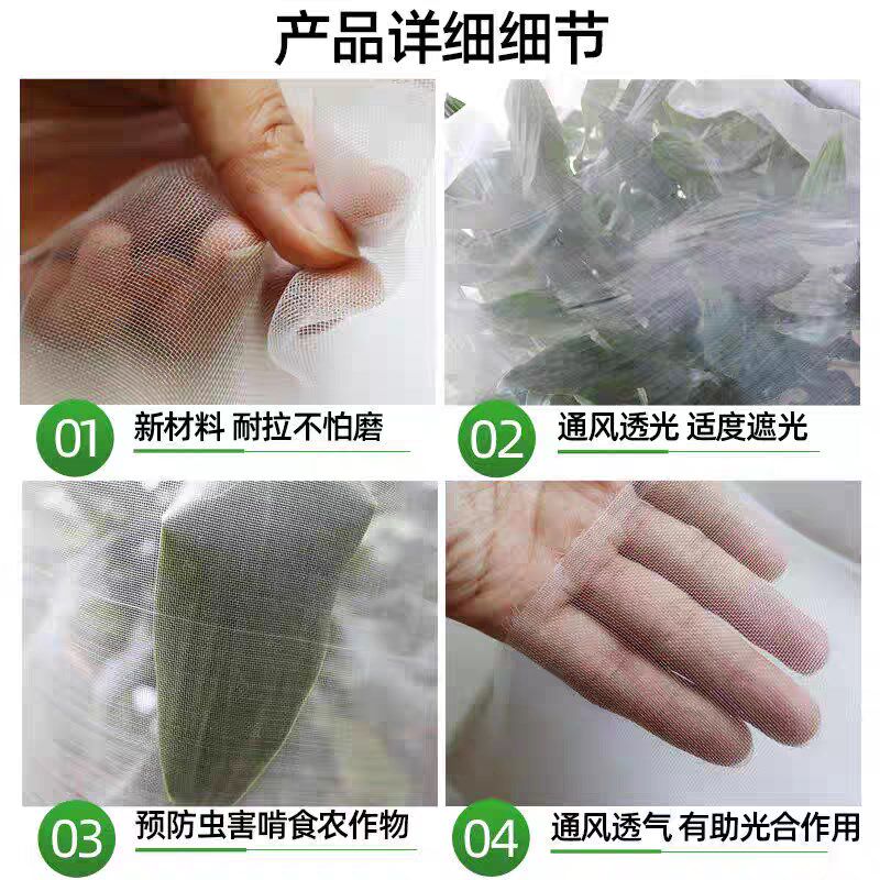 防虫网大棚种菜农用防虫网果树防鸟网场猪场防蚊苍蝇网加密加厚网