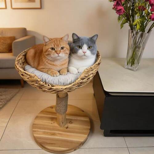 纯天然材料编织猫爬架家用不占地单猫窝猫爬架猫抓板多功能猫爬树