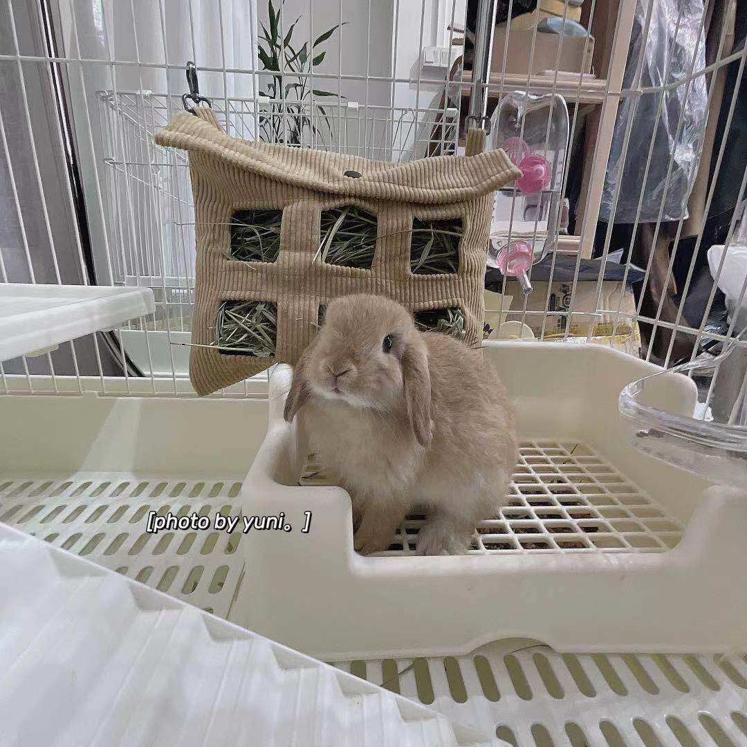 【手工】兔子草袋防扒布草架宠物荷兰猪草袋兔草架防漏草耐啃食盆