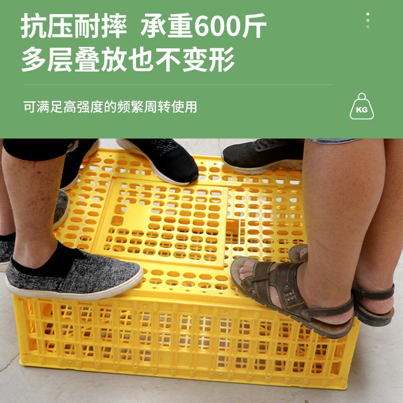 鸡笼塑料周转箱成鸡鸭鹅运输筐加厚大码鸡笼鸡鸭鹅鸽笼周转运输笼