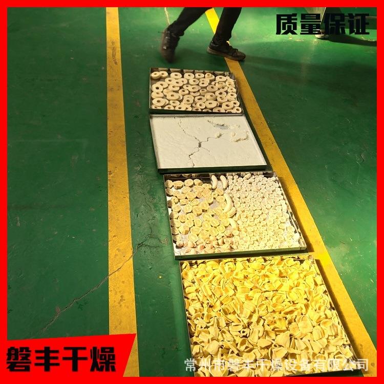 桑葚低温冻干FDGJ-1M 水果冷冻干燥燥机真空 型冷冻干大机 磐机丰