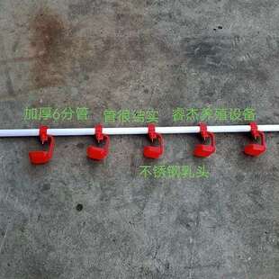 鸡鸭养殖自动饮水线25管饮水器6分管养殖饮水设备3米4米厚2.0鸡雏